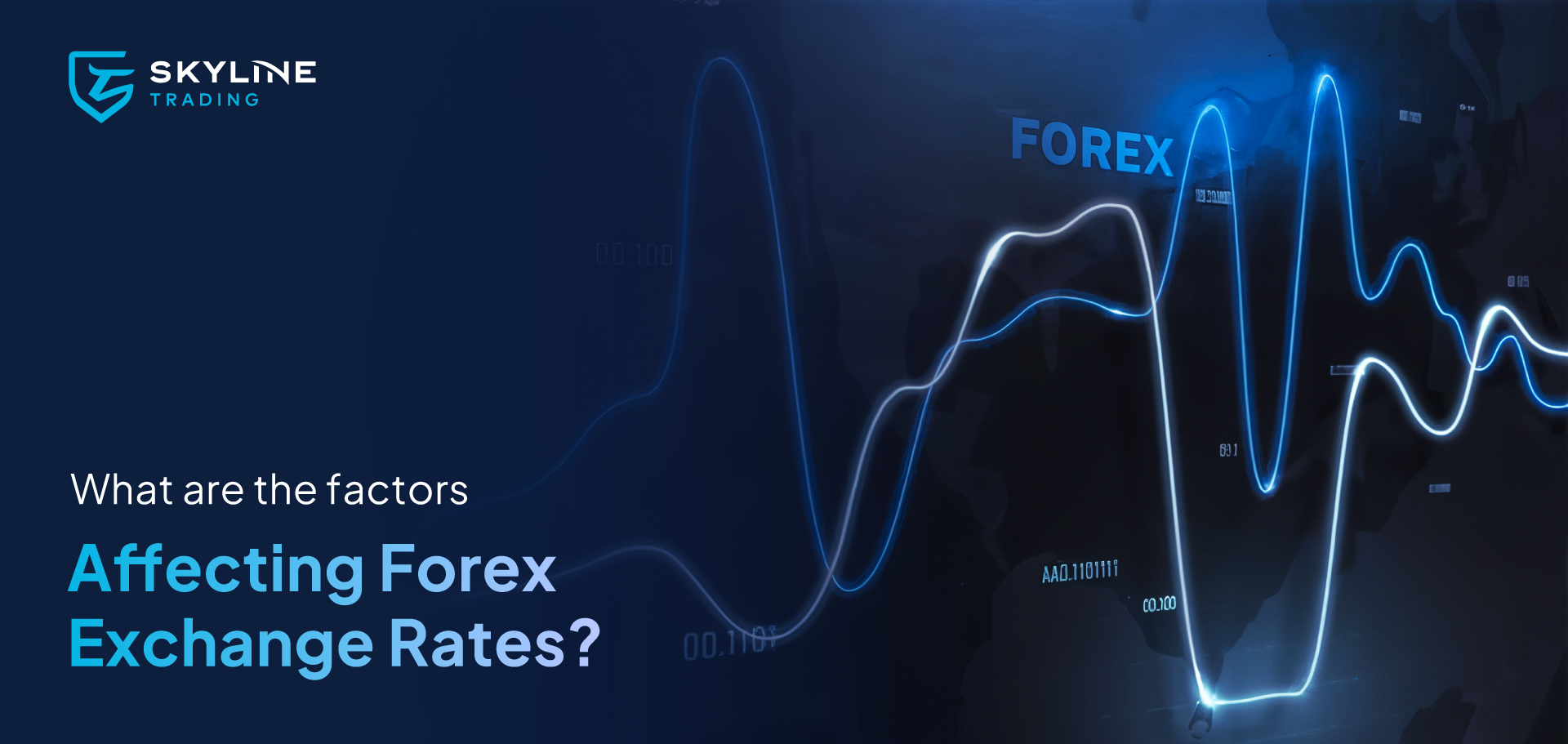 What are the Factors Affecting Forex Exchange Rates?
